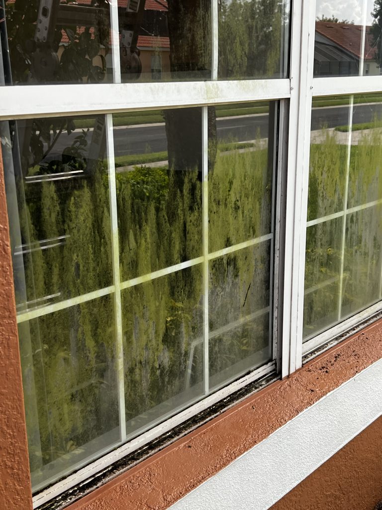 Regular Window Maintenance Example