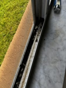 Mold Debris broken window screens