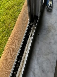 mold debris window screen repair Mold Debris broken window screens