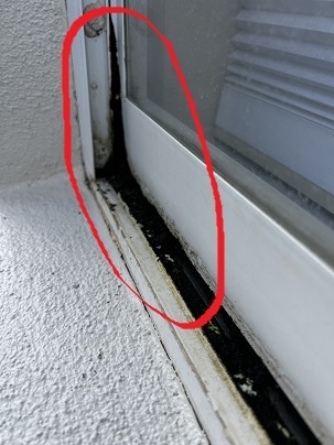Mold on windowsills maintenance
