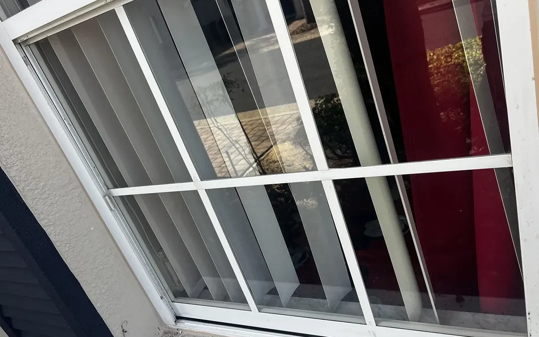 How Often Should You Clean Your Windows in Florida?